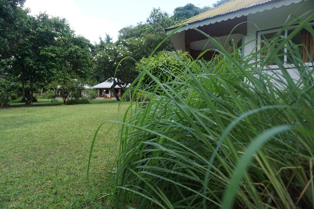 Chalet Bamboo Vert La Digue Exterior foto